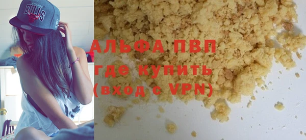 прущие грибы Баксан