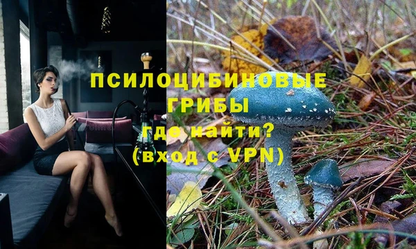 прущие грибы Баксан