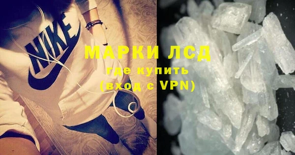 прущие грибы Баксан
