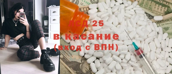 прущие грибы Баксан